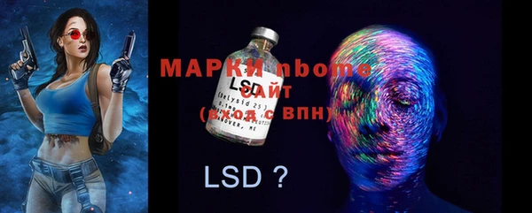 гидра Верея