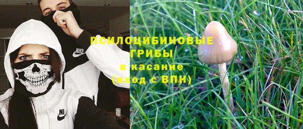 индика Волосово