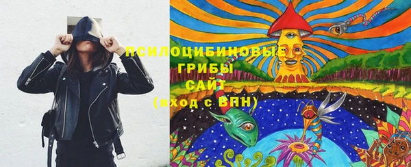 гидра Верея