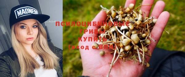 героин Горняк