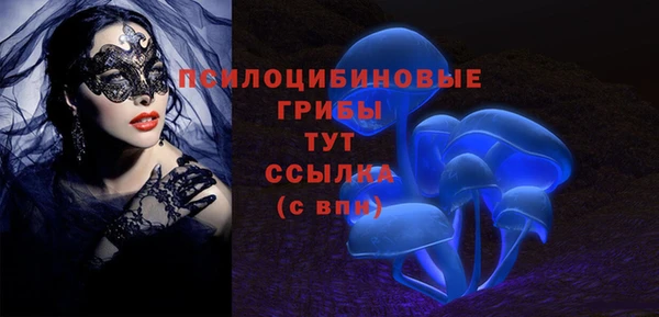 гидра Верея