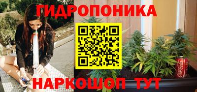 сатива Берёзовский