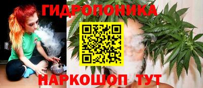 apvp Бийск