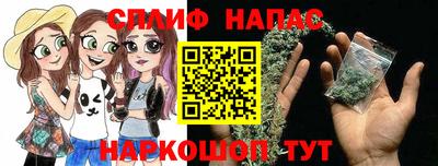 apvp Бийск