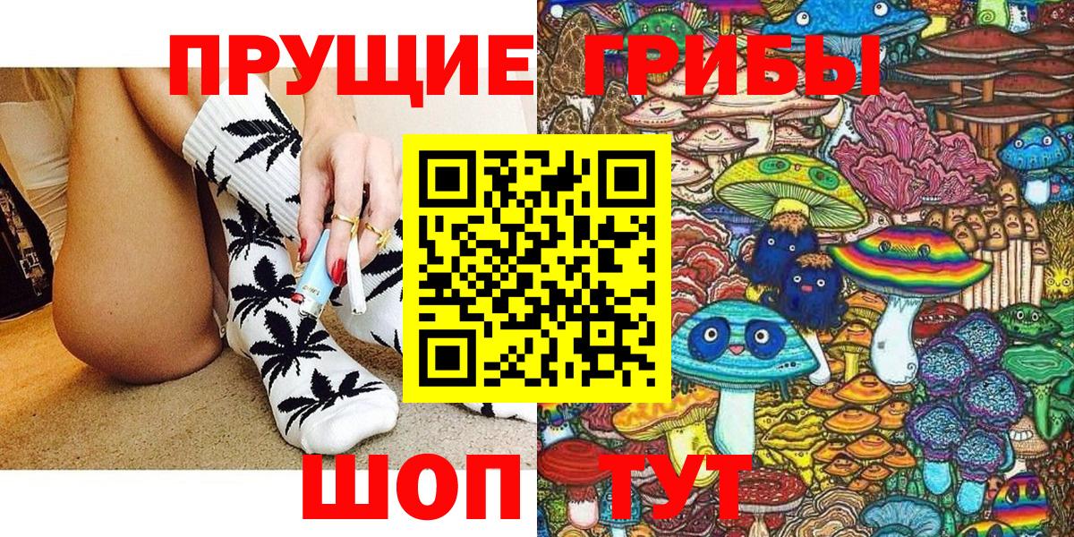 Псилоцибиновые грибы Psilocybine cubensis  Десногорск 